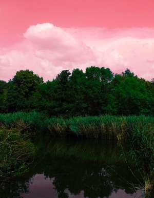 A nice pond with a pink sky