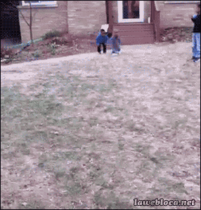 A small child running and falling flat on his face